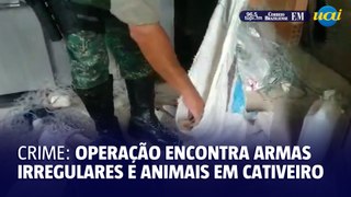 Operação encontra armas irregulares e animais em cativeiro