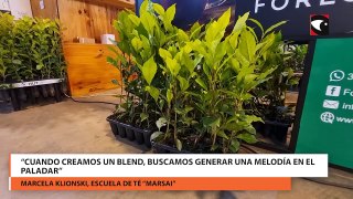 “Fundamentalmente nos enfocamos en la formación de Tea Bleanders”