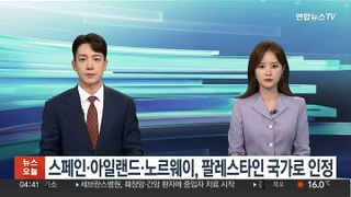 스페인·아일랜드·노르웨이, 팔레스타인 국가로 인정