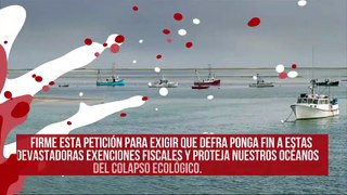 No quieren que Reino Unido otorgue exenciones fiscales a la industria pesquera