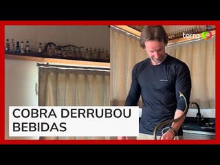 Cobra invade casa em SC e destrói bar ao fugir de biólogo