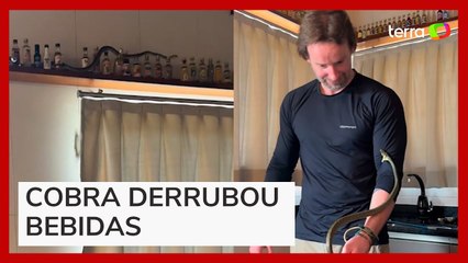 Cobra invade casa em SC e destrói bar ao fugir de biólogo