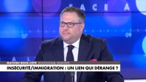 L'édito de Mathieu Bock-Côté : «Insécurité/immigration : un lien qui dérange ?»