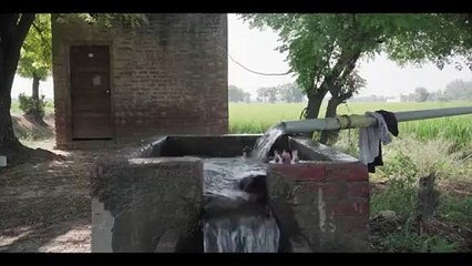 Jaggi (2022) Official Trailer | A Heartfelt Story of Identity and Society 🌾