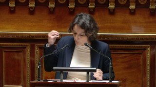 Transidentité des mineurs: Mélanie Vogel s'oppose fermement  au texte LR