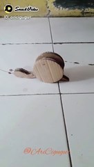 Permainan Anak-Anak Seru dan Edukatif