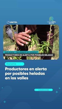 Productores en alerta por posibles heladas en los valles