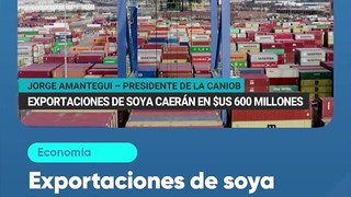 Exportaciones de soya bajarán en $us 600 millones