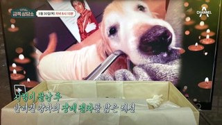 [선공개] 