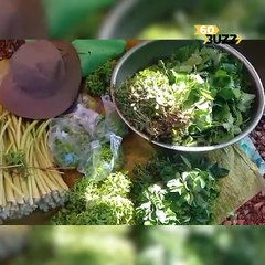 ម្តាយគេម្តាយយើង លោកយាយវ័យ​​៨៥ឆ្នាំម្នាក់ ចិញ្ចឹមប្អូនពិការវ័យ​៨៣ឆ្នាំ ដោយរបរបេះបន្លែបង្ការយកមកលក់នៅផ្សារ