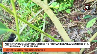 Advierten que los productores no podrán pagar aumento de 61% otorgado a los tareferos