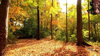 CONFIE EM DEUS EM TODOS OS SEUS CAMINHOS