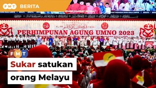 Gesaan Ku Li satukan orang Melayu bawah Umno 'usaha sukar', kata penganalisis