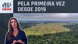 Patrícia Costa analisa relatório que aponta queda de 62% no desmatamento da Amazônia