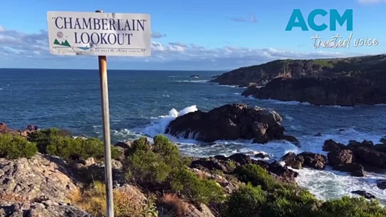 Whales sounded like ‘herd of elephants in the jungle’ 150 metres off coast