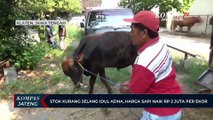 Stok Kurang Jelang Idul Adha, Harga Sapi Naik Rp 2 Juta Per Ekor