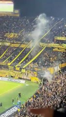 20240528 Peñarol clasificado a octavos de final de la Copa Libertadores después de 13 años