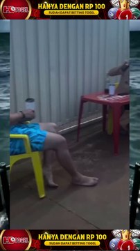 HOTOGEL - Situs Bandar Togel Terpercaya dan Toto Togel Hadiah Terbesar