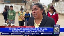 Chorrillos: vecinos atemorizados luego de que desconocidos envenenaran a sus perros