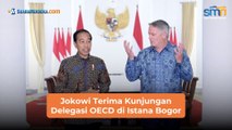 Jokowi Terima Kunjungan Delegasi OECD di Istana Bogor