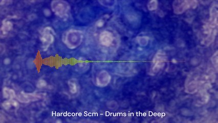 2013 - Hardcore Scm - Drums in the Deep - Drum and Bass