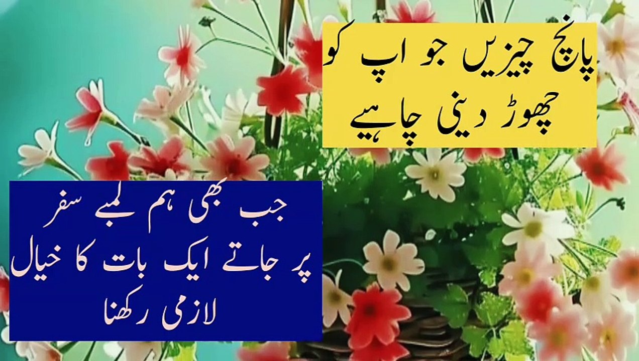 long drive mashup# long drive song# long drive songs bollywood# long drive video# long drive mashup 2023# long drive pe chal# long drive mashup 2# long drive mashup 4# long drive#isal#5 chize farz# 5 chize chod do ojha sir