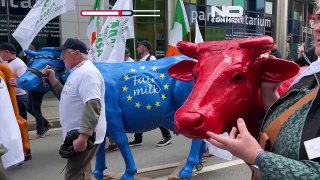 NO COMMENT: Las vacas toman las calles de Bruselas en una protesta de los ganaderos