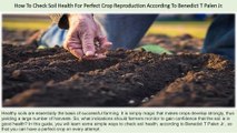 Colorado Man Benedict T Palen Jr - How To Check Soil Health For Perfect Crop Reproduction