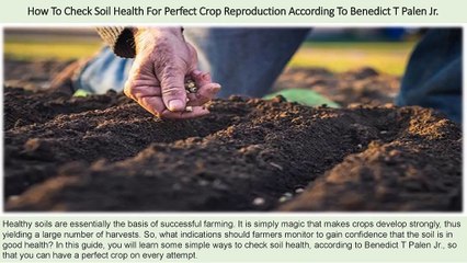 Colorado Man Benedict T Palen Jr - How To Check Soil Health For Perfect Crop Reproduction