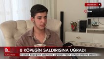 Diyarbakır’da, 8 sokak köpeğinin saldırısına uğrayan Yasin dehşet anlarını anlattı