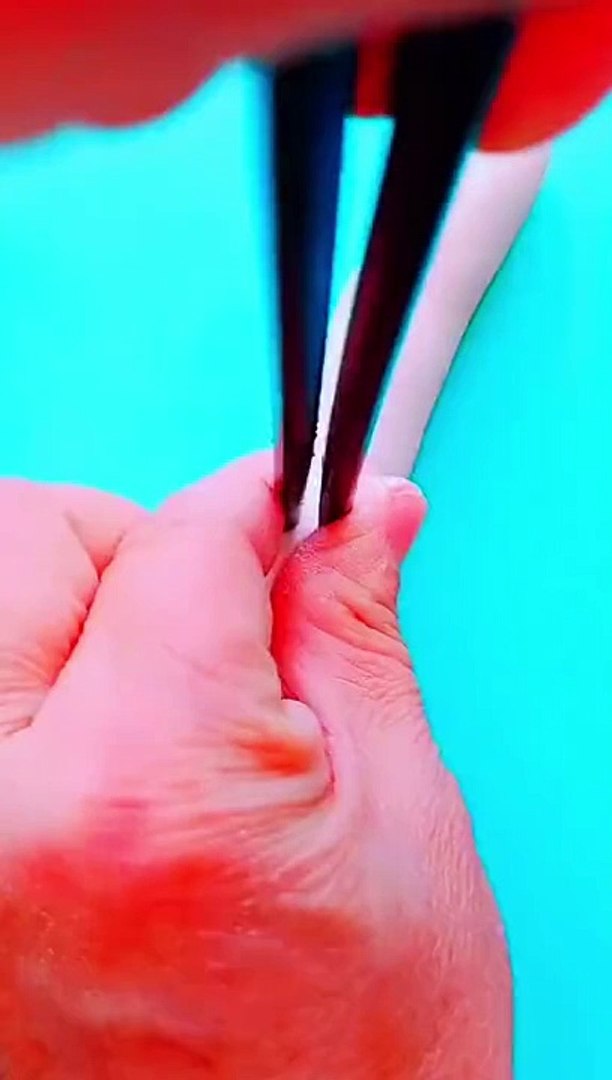 Satisfying video
