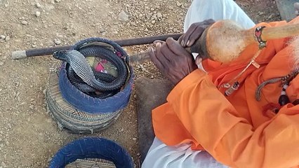 Jogi Sapera and Jogi Thata: Mystical Figures