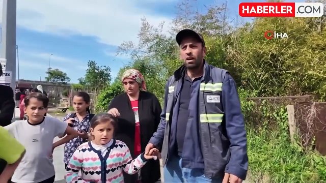 Artvin'de başıboş köpekler küçük çocuğa saldırdı