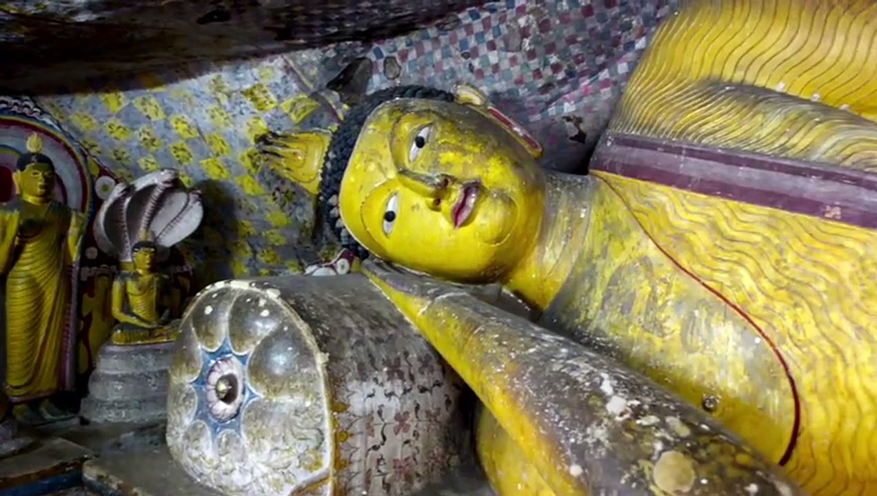 Green Simple NatureSri Lanka