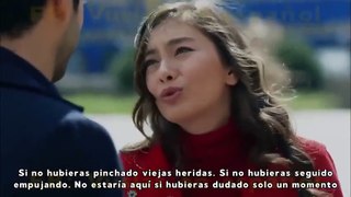 Kara Sevda - Capitulo 24 (en Español)