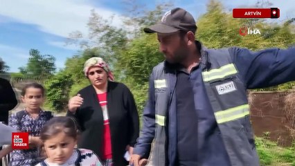 Artvin'in Arhavi ilçesinde başıboş sokak köpekleri mahalleliyi birbirine düşürdü