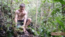 Primitive Technology_ Bow and Arrow(720P_HD)