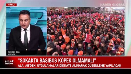 Efkan Ala: Sokakta başıboş köpek olmamalı, Meclis tatile girmeden teklif gelir