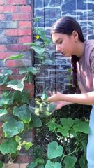 When you think, we can eat something 