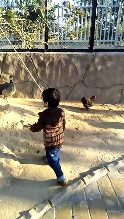 chicken run #dailymotion #France #Pakistan #Algeria #India #USA #Iran #entertainment #tour #fun #viral #trending #foryou #tiktok #delicious #gaming #reels