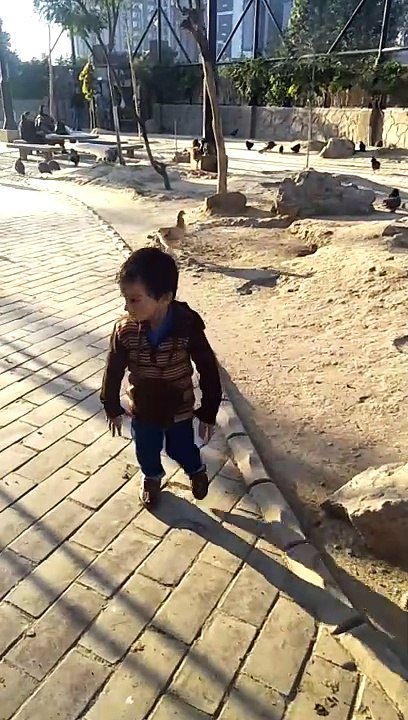 finding chicken #dailymotion #France #Pakistan #Algeria #India #USA #Iran #entertainment #tour #fun #viral #trending #foryou #tiktok #delicious #gaming #reels