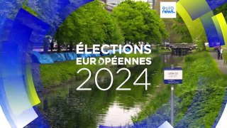 Élections européennes : l'immigration au cœur de la campagne en Irlande