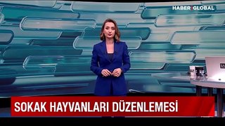 Bakan Tunç'tan sokak hayvanları düzenlemesi açıklaması: Dengeyi iyi korumamız lazım