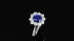 Anello con zaffiro nella colorazione Royal Blue della collezione Prestige realizzato dalla Gioielleria Casavola di Noci