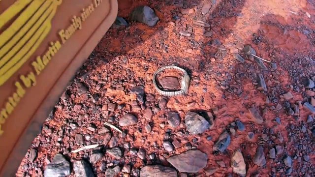 Best Metal Detector for GOLD Minelab GPX 6000 vs. GPZ 7000