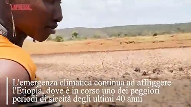 Emergenza siccità in Etiopia: 21 milioni di persone a rischio umanitario