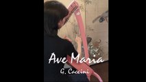 Ave Maria (Caccini) 27-string lever harp/Odyssey