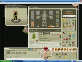 Mes equipements dofus black-sacri