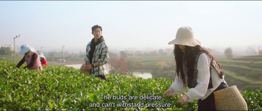 Love in the Tea Garden (2024) Ep.4 Eng Sub
