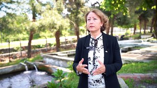 Nesli tehlike altındaki hazine: Mersin balığı